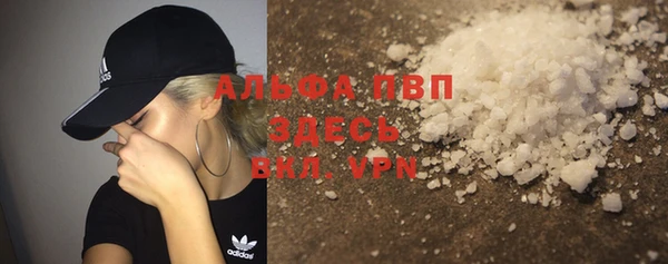 стафф Арсеньев