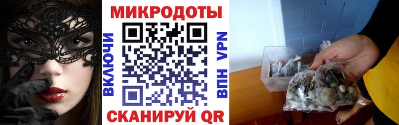 Псилоцибиновые грибы Cubensis Арск
